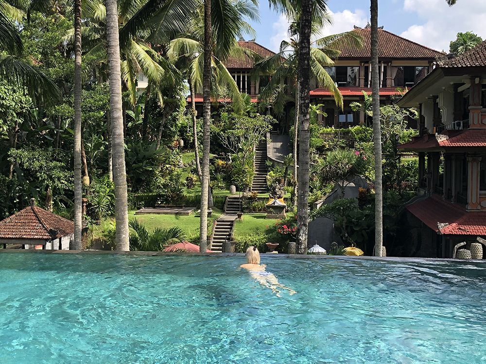 Bali wellness retreat 2018