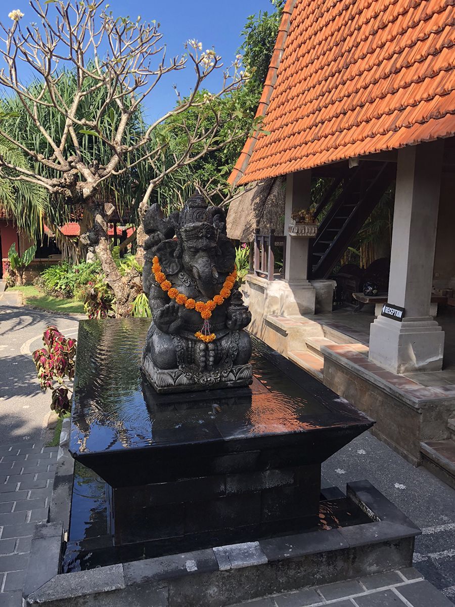 Bali wellness retreat 2018