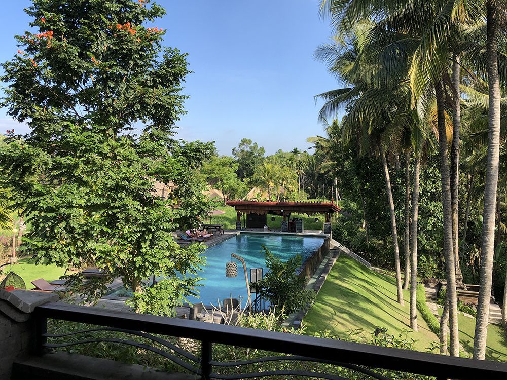 Bali wellness retreat 2018