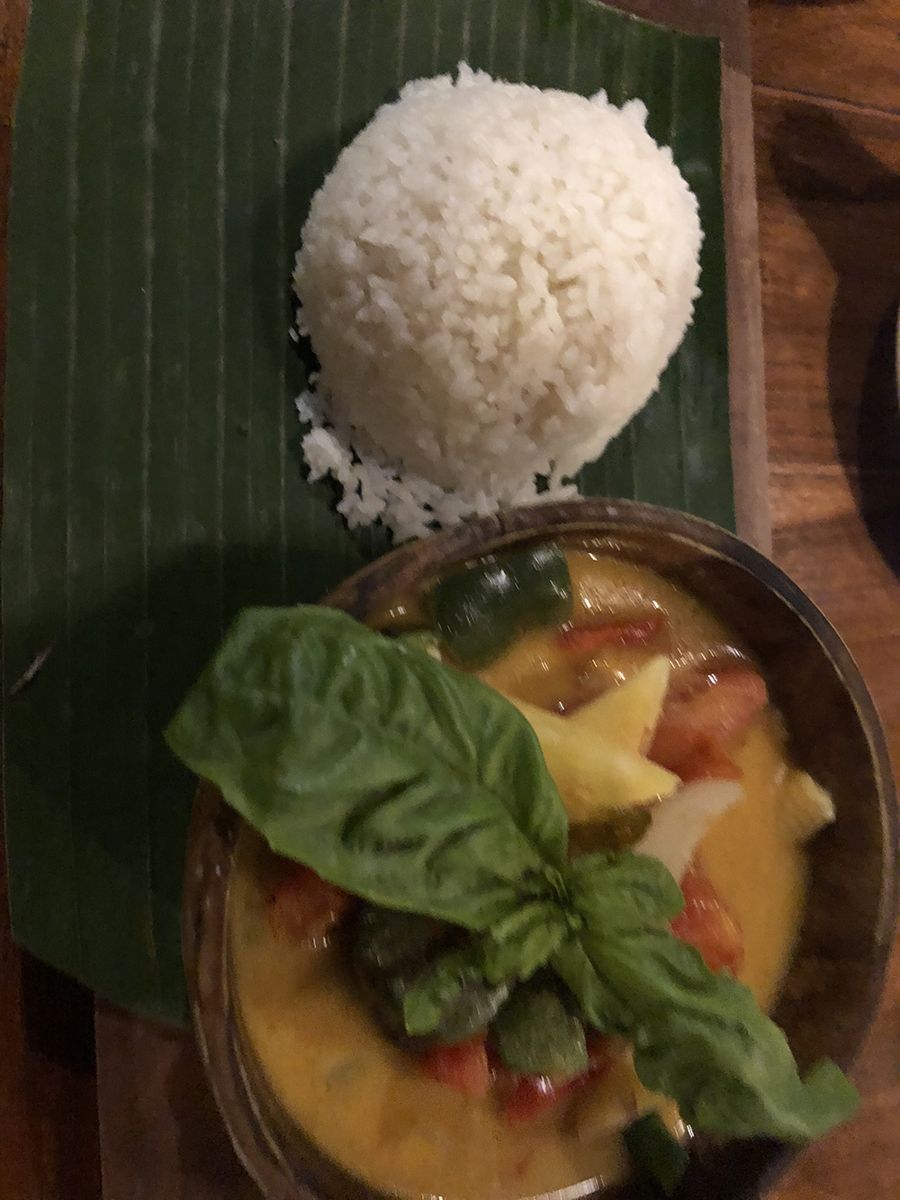 Bali wellness retreat 2018