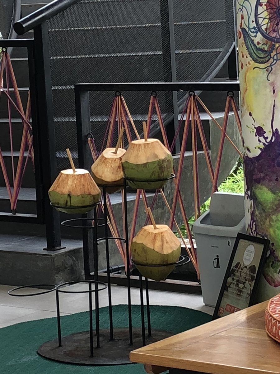 Bali wellness retreat 2018