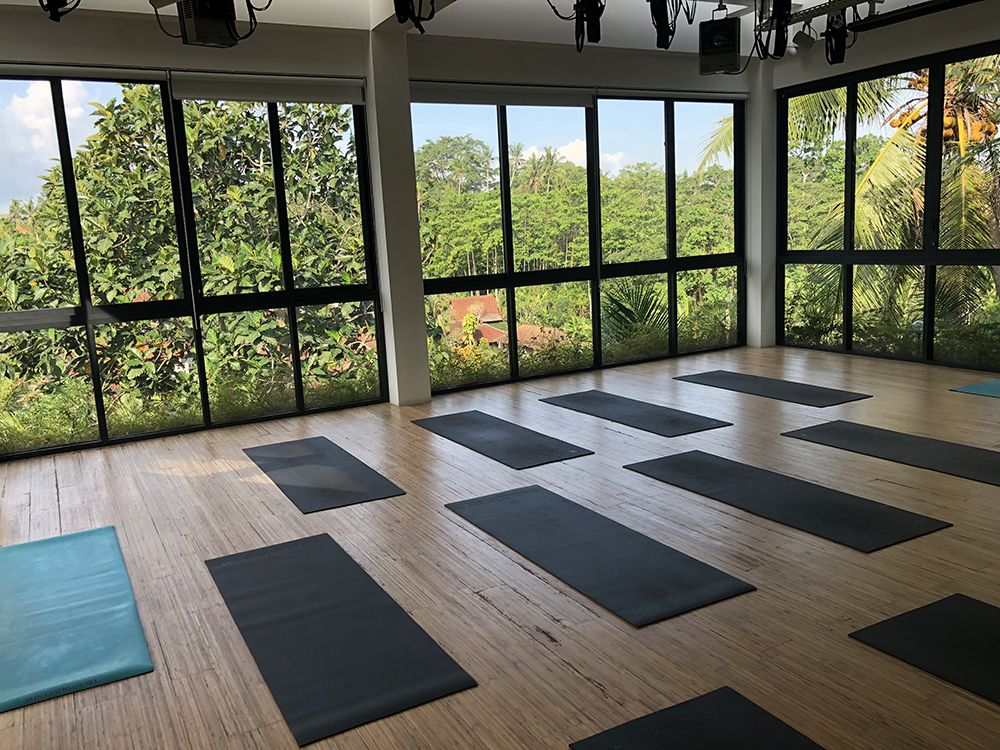 Bali wellness retreat 2018