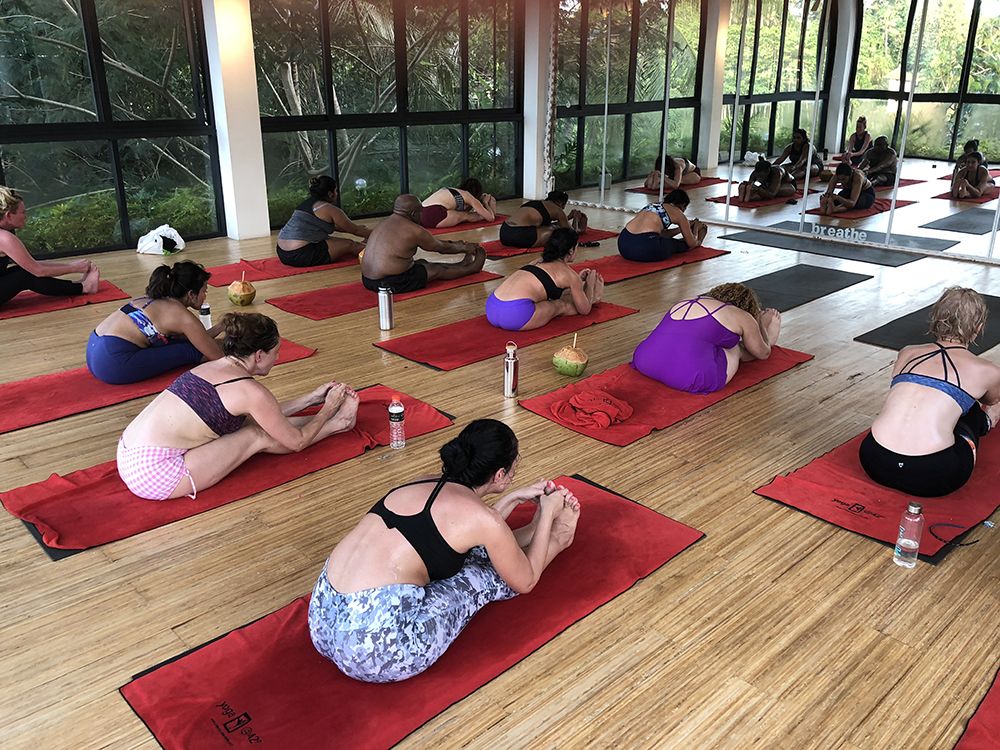 Bali wellness retreat 2018
