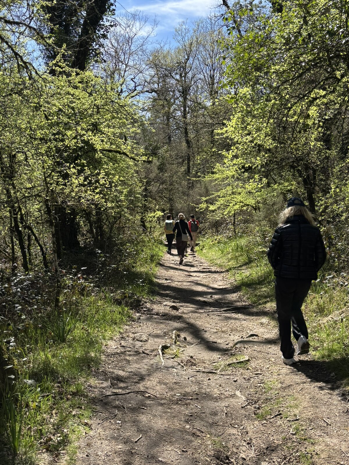 North Portugal wellness retreat 2026