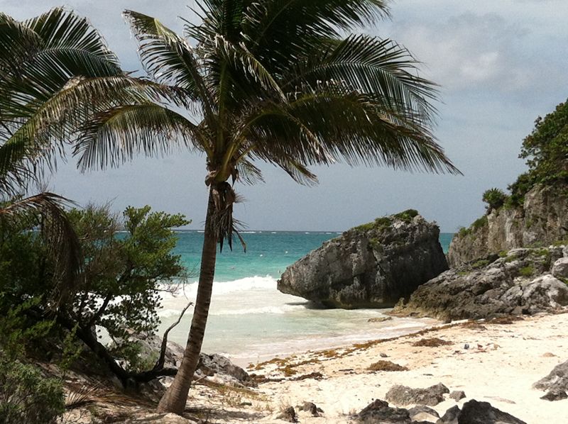 Tulum wellness retreat 2012